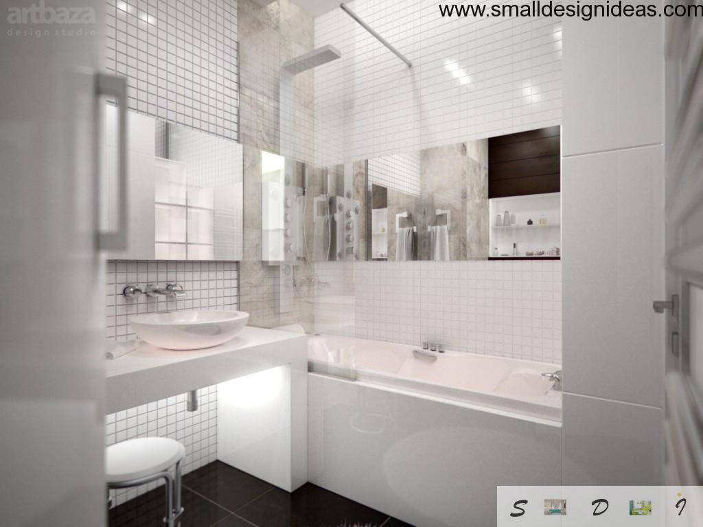 Small Design Ideas of Bathroom in Country House