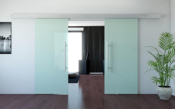 Interior Glass Doors: Best Design Ideas and Application