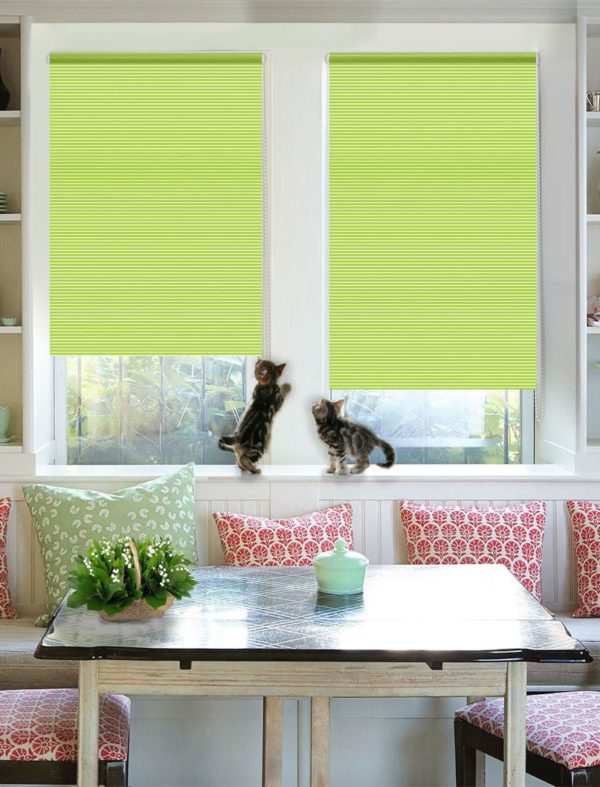 Roller Blinds Practical and Good Looking Window Treatment